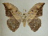  ( - 13-CRBS-108)  @12 [ ] No Rights Reserved (2013) James Sullivan Research Collection of J. B. Sullivan