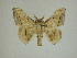 ( - 13-CRBS-131)  @13 [ ] No Rights Reserved (2013) James Sullivan Research Collection of J. B. Sullivan