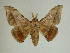  ( - 13-CRBS-138)  @14 [ ] No Rights Reserved (2013) James Sullivan Research Collection of J. B. Sullivan