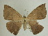  ( - 13-CRBS-154)  @14 [ ] No Rights Reserved (2013) James Sullivan Research Collection of J. B. Sullivan