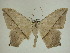  ( - 13-CRBS-158)  @14 [ ] No Rights Reserved (2013) James Sullivan Research Collection of J. B. Sullivan