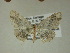  ( - 13-CRBS-187)  @13 [ ] No Rights Reserved (2013) James Sullivan Research Collection of J. B. Sullivan