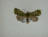  ( - 13-CRBS-193)  @12 [ ] No Rights Reserved (2013) James Sullivan Research Collection of J. B. Sullivan