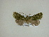  ( - 13-CRBS-203)  @12 [ ] No Rights Reserved (2013) James Sullivan Research Collection of J. B. Sullivan