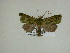  ( - 13-CRBS-204)  @12 [ ] No Rights Reserved (2013) James Sullivan Research Collection of J. B. Sullivan