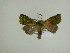  ( - 13-CRBS-205)  @12 [ ] No Rights Reserved (2013) James Sullivan Research Collection of J. B. Sullivan