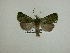  ( - 13-CRBS-207)  @12 [ ] No Rights Reserved (2013) James Sullivan Research Collection of J. B. Sullivan