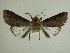  ( - 13-CRBS-215)  @13 [ ] No Rights Reserved (2013) James Sullivan Research Collection of J. B. Sullivan