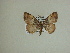  ( - 13-CRBS-221)  @13 [ ] No Rights Reserved (2013) James Sullivan Research Collection of J. B. Sullivan