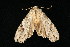  ( - 05-CTATBI-0107)  @13 [ ] CreativeCommons - Attribution (2010) Unspecified Centre for Biodiversity Genomics