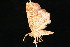  ( - 05-CTATBI-0171)  @13 [ ] CreativeCommons - Attribution (2010) Unspecified Centre for Biodiversity Genomics