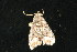  ( - 05-CTATBI-0241)  @12 [ ] CreativeCommons - Attribution (2010) Unspecified Centre for Biodiversity Genomics