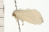 ( - 08-QLDLI-056)  @12 [ ] CreativeCommons - Attribution (2008) Unspecified Centre for Biodiversity Genomics