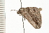  ( - 08-QLDLI-073)  @12 [ ] CreativeCommons - Attribution (2008) Unspecified Centre for Biodiversity Genomics