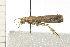  ( - 08-QLDLI-094)  @13 [ ] CreativeCommons - Attribution (2008) Unspecified Centre for Biodiversity Genomics