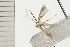  ( - 08-QLDLI-160)  @12 [ ] CreativeCommons - Attribution (2008) Unspecified Centre for Biodiversity Genomics
