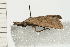  ( - 08-QLDLI-167)  @13 [ ] CreativeCommons - Attribution (2008) Unspecified Centre for Biodiversity Genomics