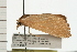  ( - 08-QLDLI-191)  @13 [ ] CreativeCommons - Attribution (2008) Unspecified Centre for Biodiversity Genomics