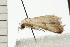  ( - 08-QLDLI-230)  @13 [ ] CreativeCommons - Attribution (2008) Unspecified Centre for Biodiversity Genomics