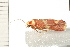  ( - 08-QLDLI-294)  @12 [ ] CreativeCommons - Attribution (2008) Unspecified Centre for Biodiversity Genomics