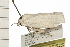  ( - 08-QLDLI-326)  @13 [ ] CreativeCommons - Attribution (2008) Unspecified Centre for Biodiversity Genomics