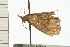  ( - 08-QLDLI-329)  @12 [ ] CreativeCommons - Attribution (2008) Unspecified Centre for Biodiversity Genomics