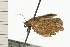  ( - 08-QLDLI-330)  @12 [ ] CreativeCommons - Attribution (2008) Unspecified Centre for Biodiversity Genomics