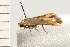 ( - 08-QLDLI-337)  @13 [ ] CreativeCommons - Attribution (2008) Unspecified Centre for Biodiversity Genomics