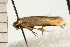  ( - 08-QLDLI-342)  @13 [ ] CreativeCommons - Attribution (2008) Unspecified Centre for Biodiversity Genomics