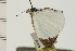  ( - 08-QLDLI-363)  @13 [ ] CreativeCommons - Attribution (2008) Unspecified Centre for Biodiversity Genomics
