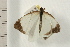  ( - 08-QLDLI-366)  @14 [ ] CreativeCommons - Attribution (2008) Unspecified Centre for Biodiversity Genomics