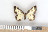  ( - NHMO-06002)  @13 [ ] Unspecified (default): All Rights Reserved  Unspecified Unspecified