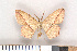  ( - NHMO-06012)  @11 [ ] Unspecified (default): All Rights Reserved  Unspecified Unspecified