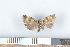  ( - NHMO-06094)  @12 [ ] Unspecified (default): All Rights Reserved  Unspecified Unspecified