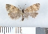  ( - NHMO-06094)  @12 [ ] Unspecified (default): All Rights Reserved  Unspecified Unspecified