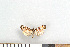  ( - NHMO-06097)  @13 [ ] Unspecified (default): All Rights Reserved  Unspecified Unspecified