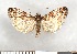  ( - NHMO-06097)  @14 [ ] Unspecified (default): All Rights Reserved  Unspecified Unspecified