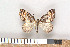  ( - NHMO-06108)  @13 [ ] Unspecified (default): All Rights Reserved  Unspecified Unspecified