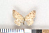  ( - NHMO-06115)  @13 [ ] Unspecified (default): All Rights Reserved  Unspecified Unspecified