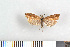  ( - NHMO-06158)  @13 [ ] Unspecified (default): All Rights Reserved  Unspecified Unspecified