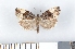  ( - NHMO-07003)  @13 [ ] Unspecified (default): All Rights Reserved  Unspecified Unspecified