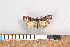  ( - NHMO-07004)  @13 [ ] Unspecified (default): All Rights Reserved  Unspecified Unspecified