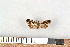  ( - NHMO-07032)  @13 [ ] Unspecified (default): All Rights Reserved  Unspecified Unspecified