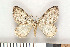  ( - NHMO-07088)  @13 [ ] Unspecified (default): All Rights Reserved  Unspecified Unspecified