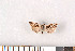  ( - NHMO-08122)  @12 [ ] Unspecified (default): All Rights Reserved  Unspecified Unspecified