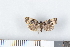  ( - NHMO-08146)  @12 [ ] Unspecified (default): All Rights Reserved  Unspecified Unspecified
