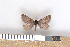  ( - NHMO-08150)  @13 [ ] Unspecified (default): All Rights Reserved  Unspecified Unspecified