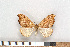  ( - NHMO-08157)  @13 [ ] Unspecified (default): All Rights Reserved  Unspecified Unspecified