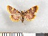  ( - NHMO-08174)  @13 [ ] Unspecified (default): All Rights Reserved  Unspecified Unspecified