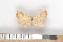  ( - NHMO-08193)  @13 [ ] Unspecified (default): All Rights Reserved  Unspecified Unspecified